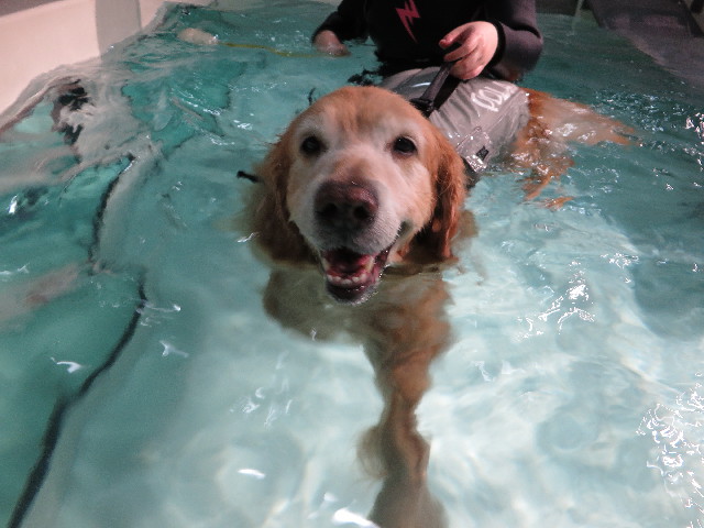 ファイル 4660-2.jpg