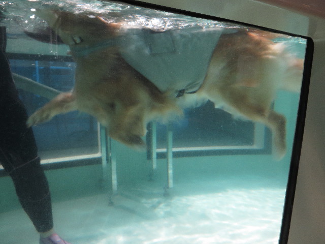 ファイル 4660-4.jpg