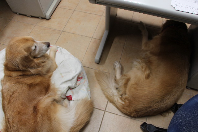 ファイル 4662-3.jpg