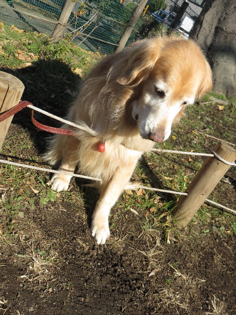 ファイル 4664-3.jpg