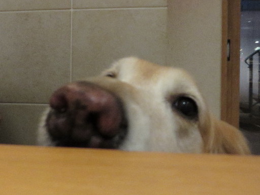 ファイル 4664-4.jpg