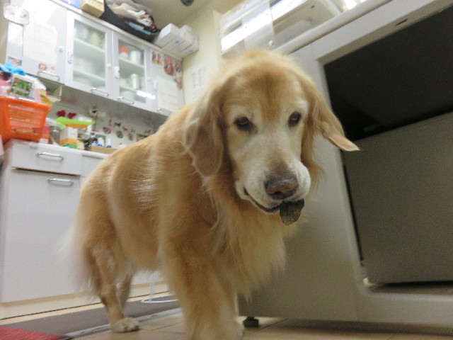 ファイル 4665-5.jpg