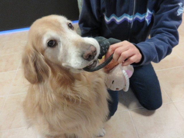 ファイル 4666-1.jpg