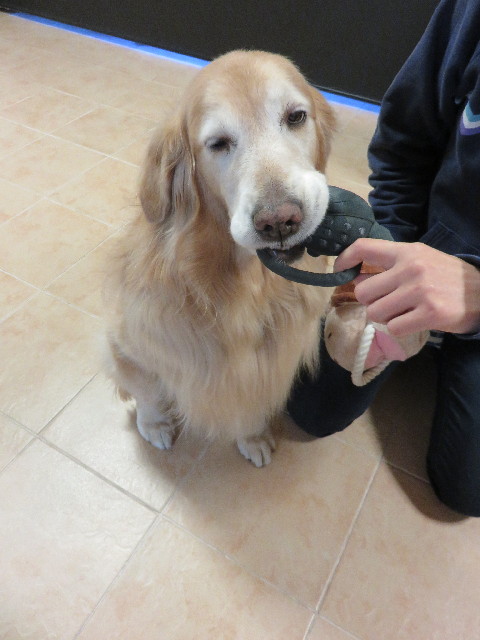 ファイル 4666-2.jpg