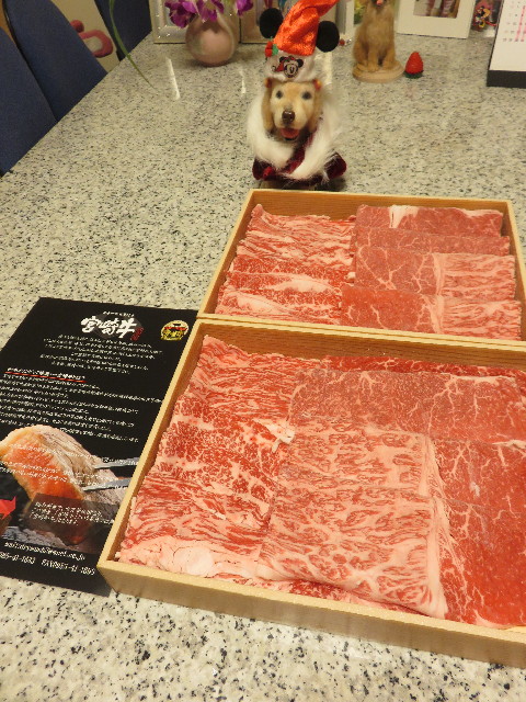 ファイル 4666-4.jpg