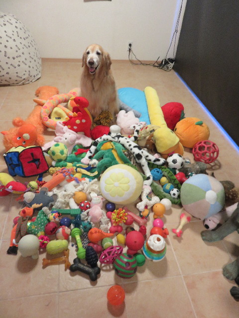 ファイル 4666-5.jpg