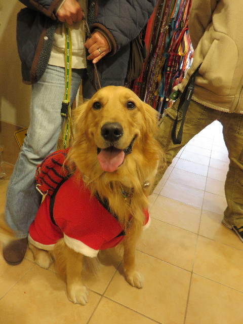 ファイル 4667-1.jpg