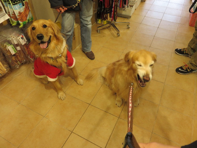 ファイル 4667-2.jpg