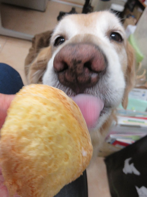 ファイル 4667-5.jpg