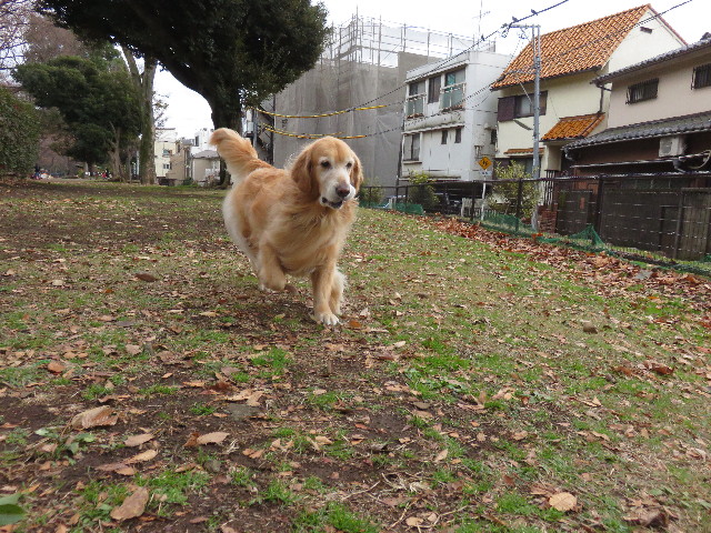 ファイル 4668-2.jpg