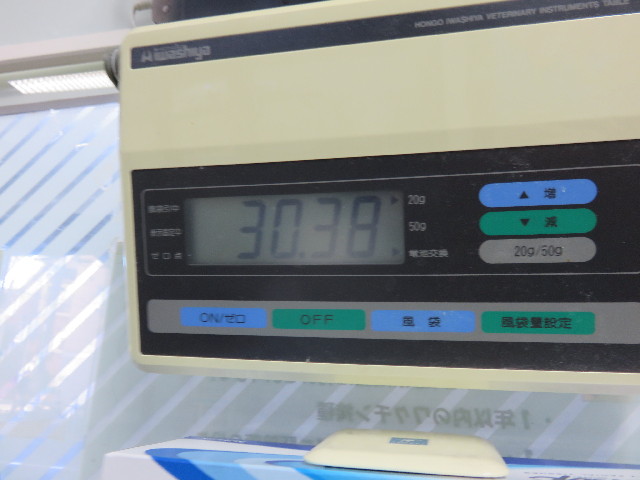 ファイル 4669-1.jpg