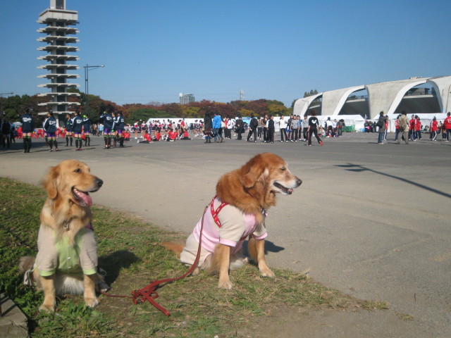 ファイル 467-2.jpg