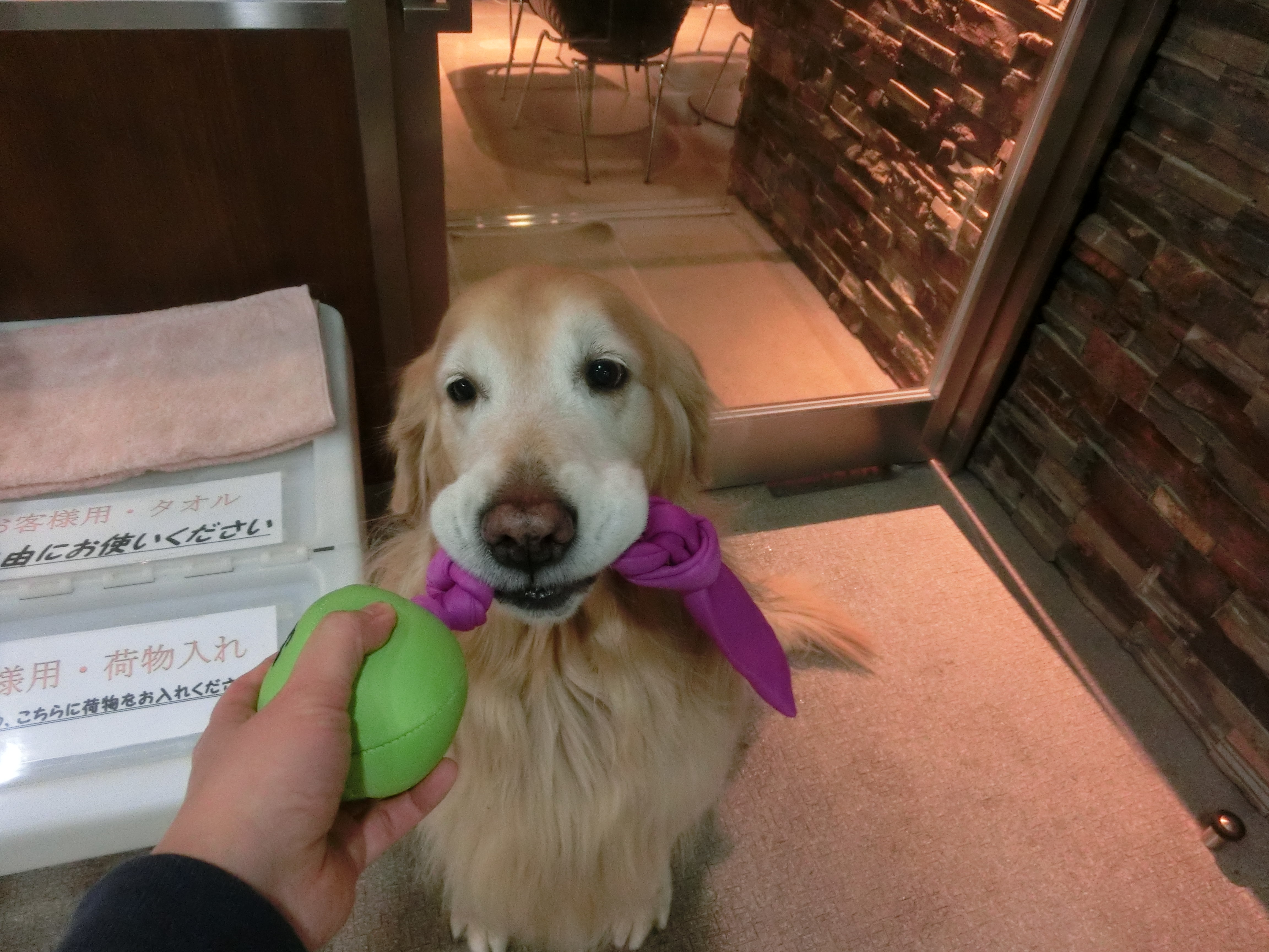 ファイル 4672-2.jpg