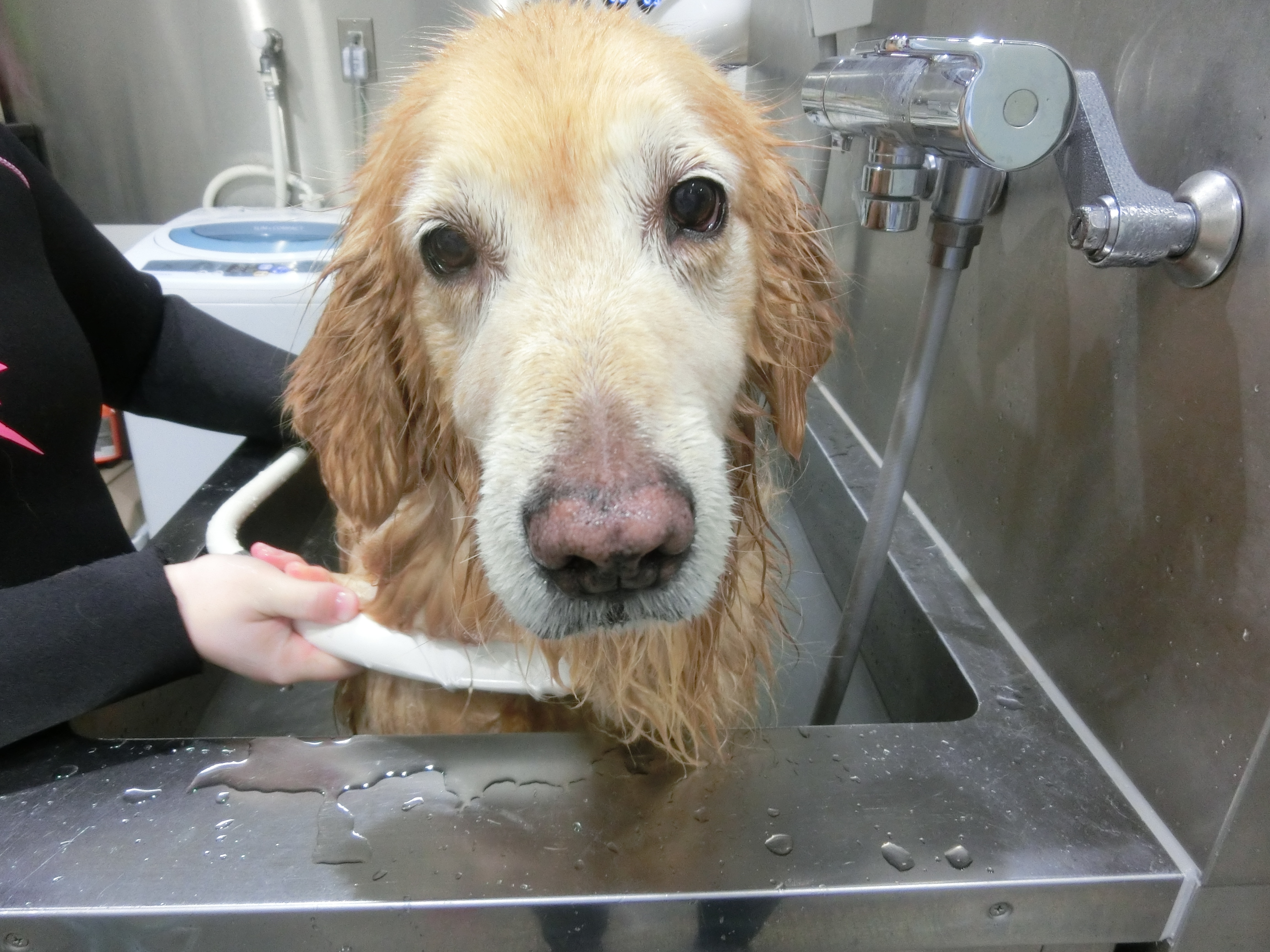 ファイル 4672-5.jpg