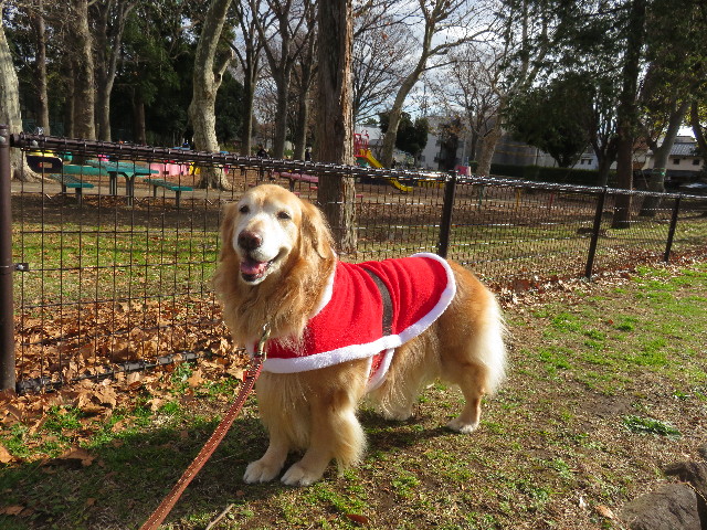 ファイル 4674-1.jpg