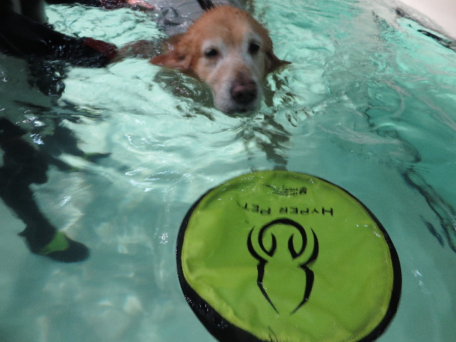 ファイル 4675-4.jpg