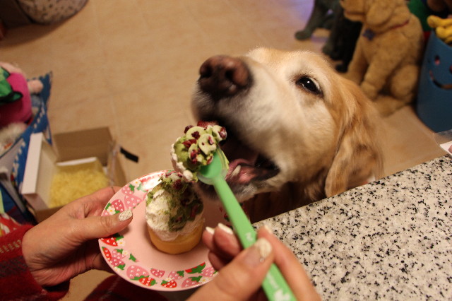 ファイル 4676-4.jpg