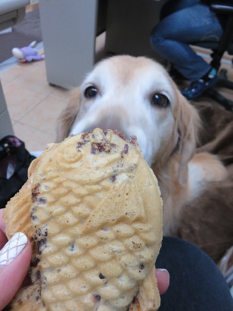 ファイル 4677-5.jpg