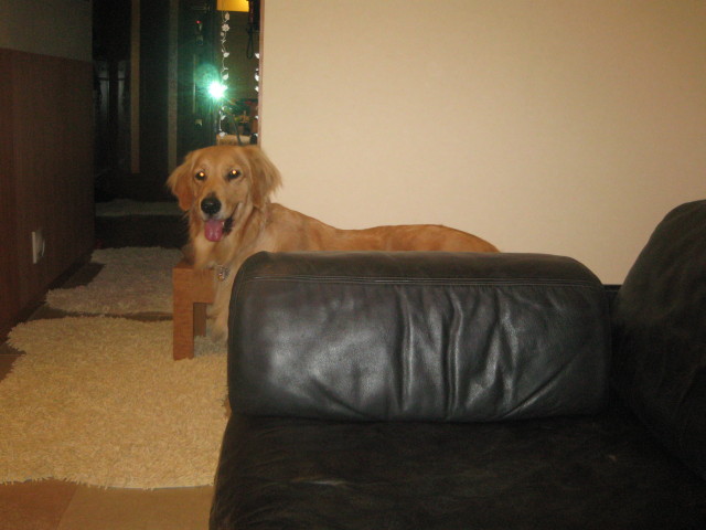 ファイル 468-5.jpg