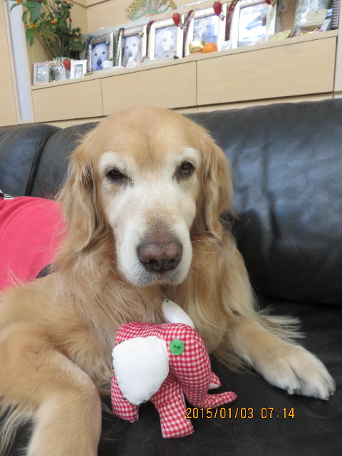 ファイル 4686-2.jpg