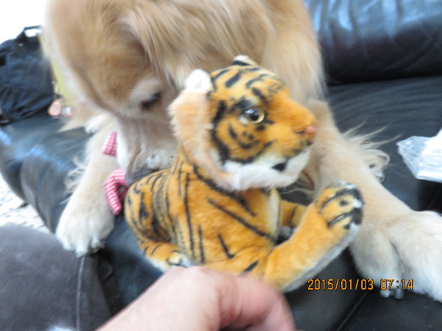 ファイル 4686-3.jpg