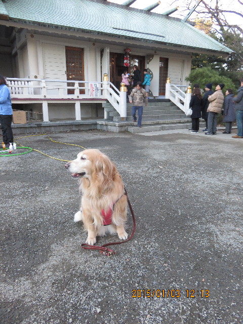 ファイル 4686-5.jpg