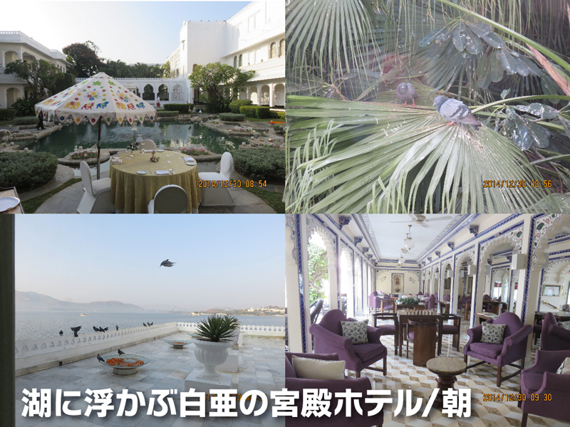 ファイル 4689-3.jpg