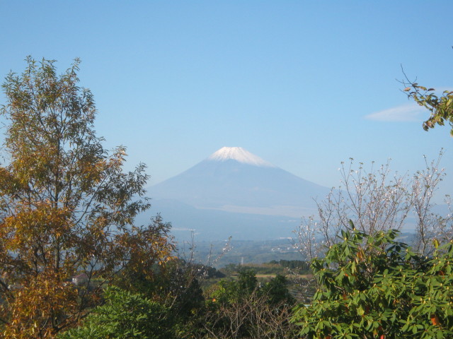 ファイル 469-2.jpg