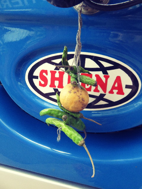 ファイル 4715-5.jpg