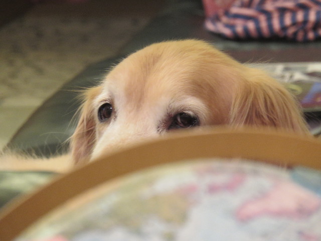 ファイル 4717-2.jpg