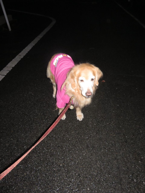 ファイル 4717-3.jpg