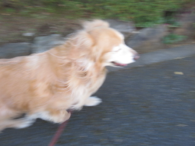 ファイル 4718-4.jpg