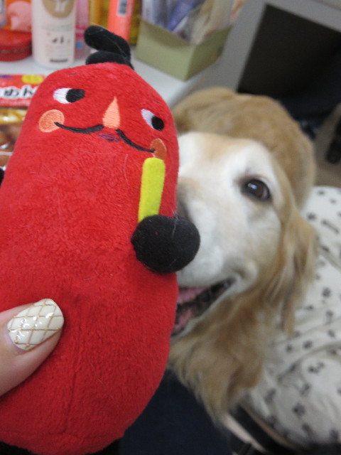 ファイル 4719-5.jpg