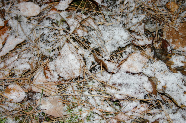 ファイル 472-5.jpg