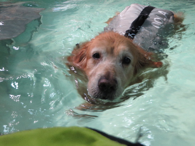 ファイル 4720-3.jpg