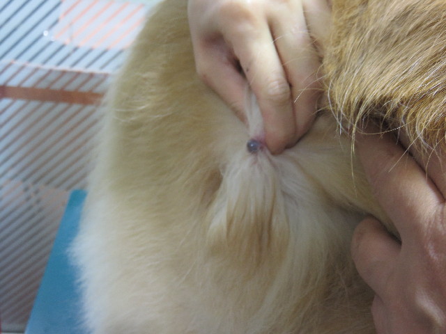 ファイル 4721-2.jpg