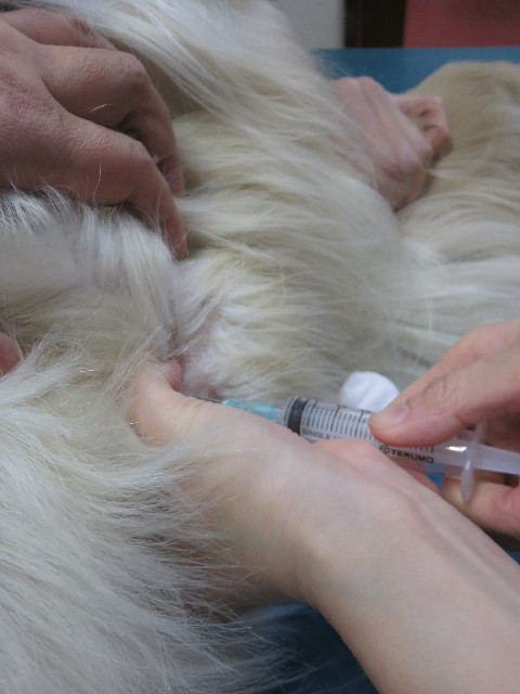 ファイル 4721-4.jpg