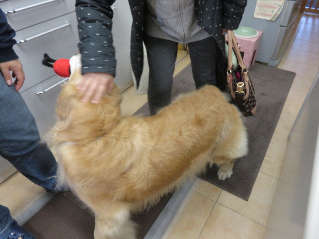 ファイル 4727-2.jpg