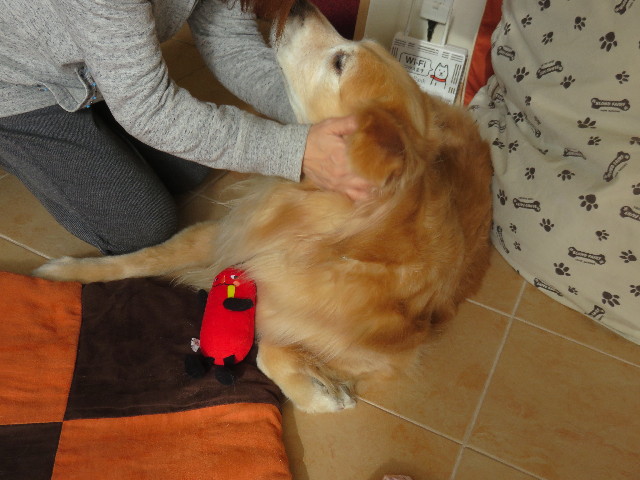 ファイル 4727-3.jpg