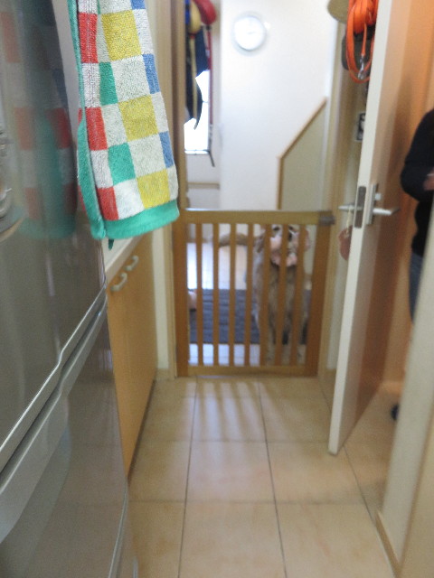 ファイル 4728-3.jpg