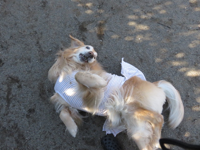 ファイル 4729-1.jpg