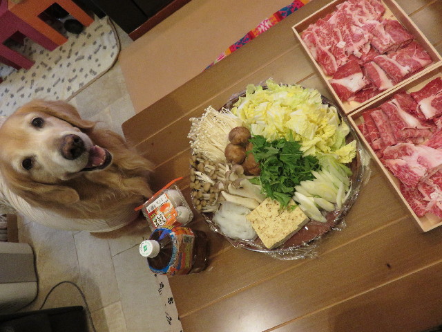 ファイル 4730-1.jpg