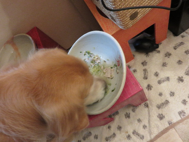 ファイル 4730-5.jpg