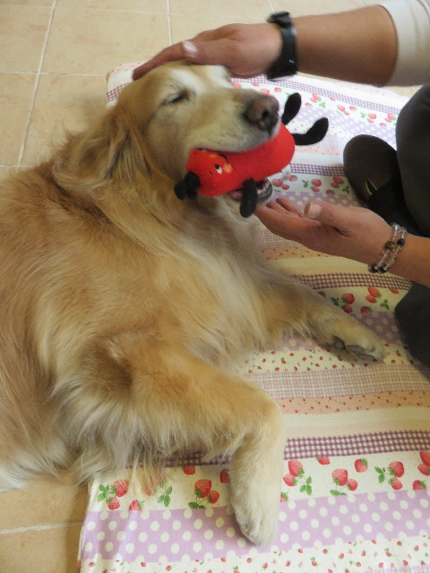 ファイル 4731-3.jpg