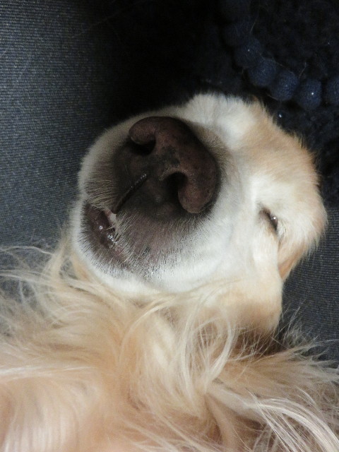 ファイル 4731-5.jpg