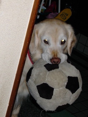 ファイル 4732-1.jpg