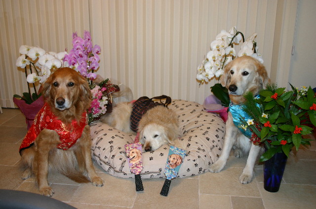 ファイル 4732-4.jpg