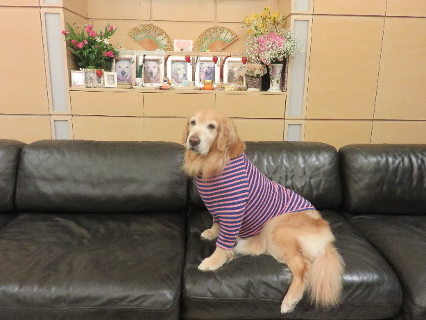 ファイル 4732-5.jpg