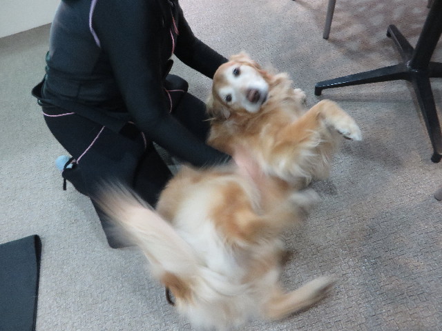 ファイル 4734-1.jpg