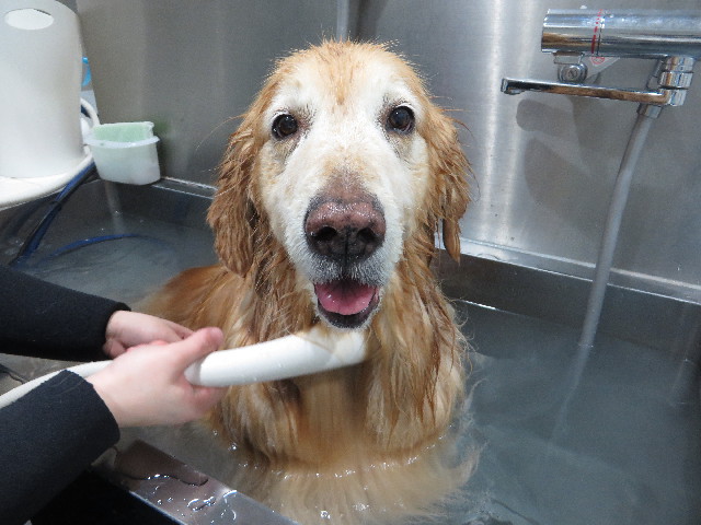 ファイル 4734-5.jpg